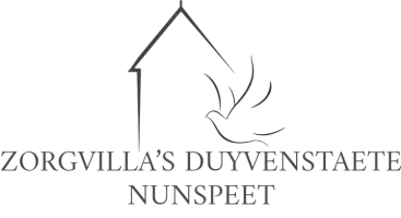 Duyvenstaete-logo-grijs